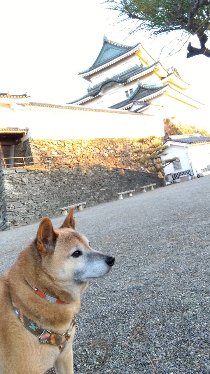 IMG_2024-01-07-07-30-37-860