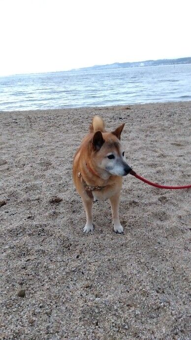 IMG_2024-02-12-06-46-59-496