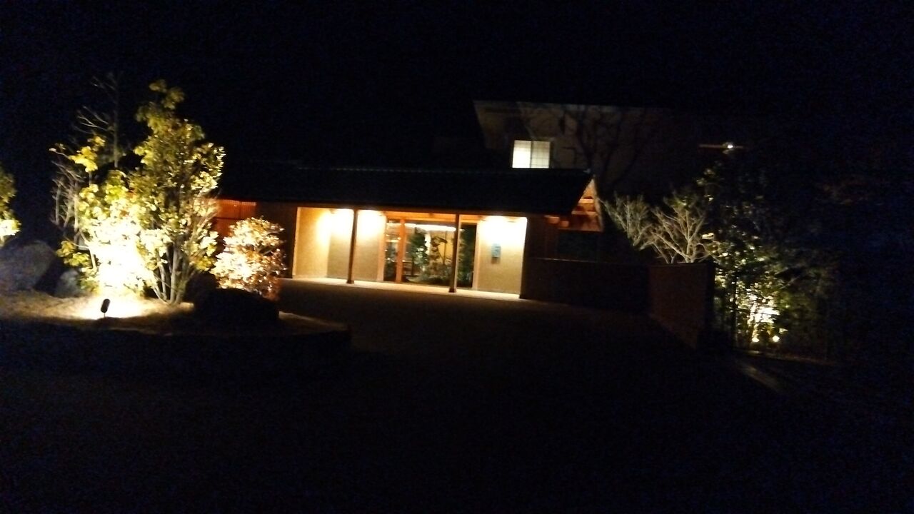 IMG_2024-02-11-19-41-04-538