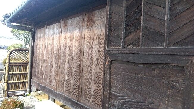 IMG_2023-12-15-10-53-56-667