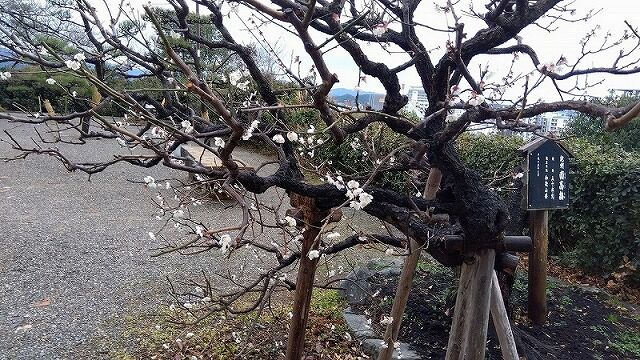 IMG_2024-02-04-07-41-23-361