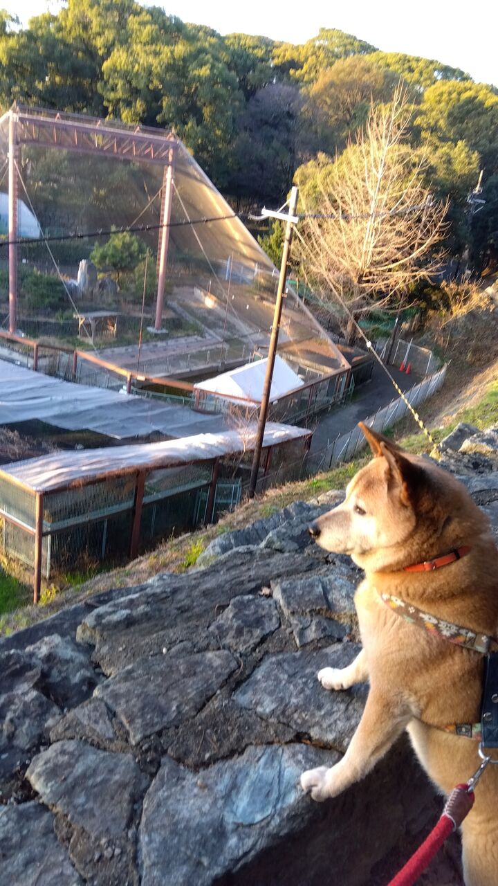 IMG_2024-01-07-07-40-40-254