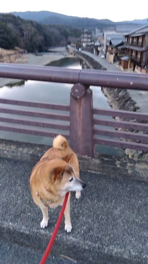 IMG_2024-02-11-06-41-12-133