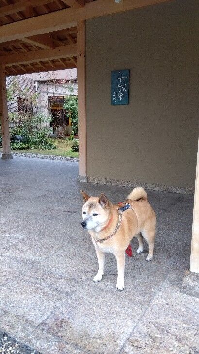 IMG_2024-02-12-08-23-16-042