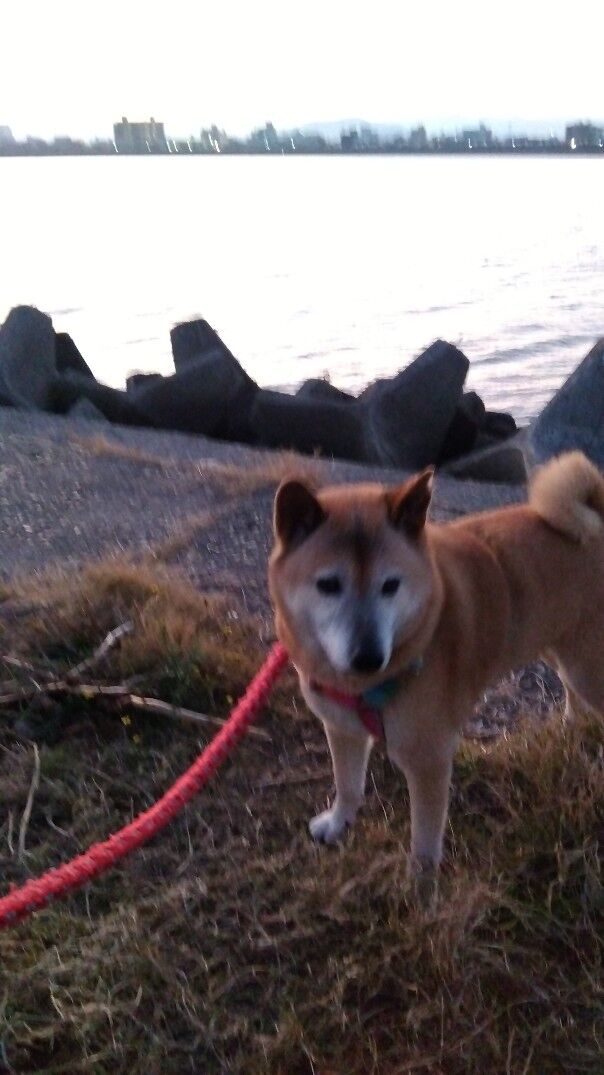 IMG_2023-12-30-06-44-18-195