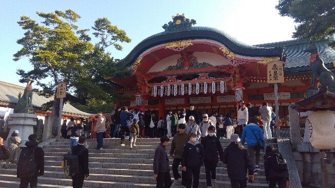 IMG_2023-12-10-09-29-27-579