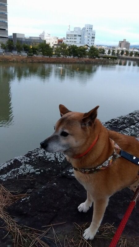 IMG_2024-02-04-07-15-31-533