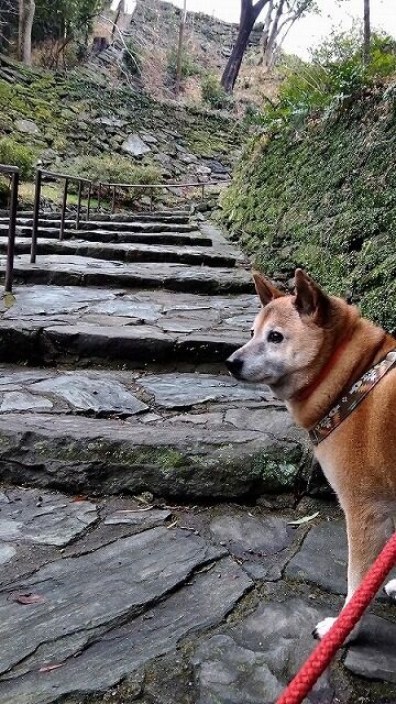 IMG_2024-02-04-07-30-05-525