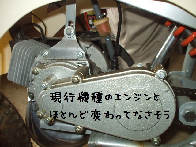 買ってはいけない 中華ポケバイ Reflection1のblog Google Yahooでは検索できなくなった真実のブログ なんちゃって