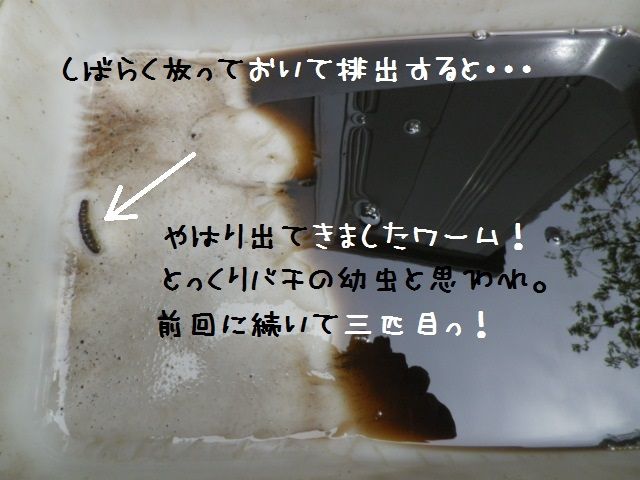 アドレスv100 Ce11a マフラー詰まり解消に関する一試論 Reflection1のblog Google Yahooでは検索できなくなった真実のブログ なんちゃって