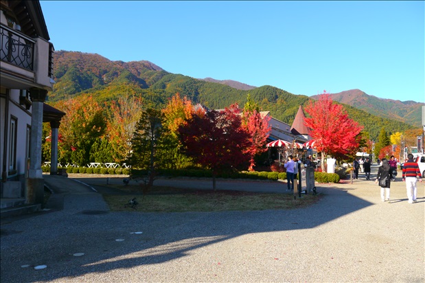 河口湖紅葉祭り 木の花美術館でダヤンと再会 Reflection1のblog Google Yahooでは検索できなくなった真実のブログ なんちゃって