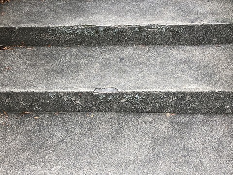 IMG-2834