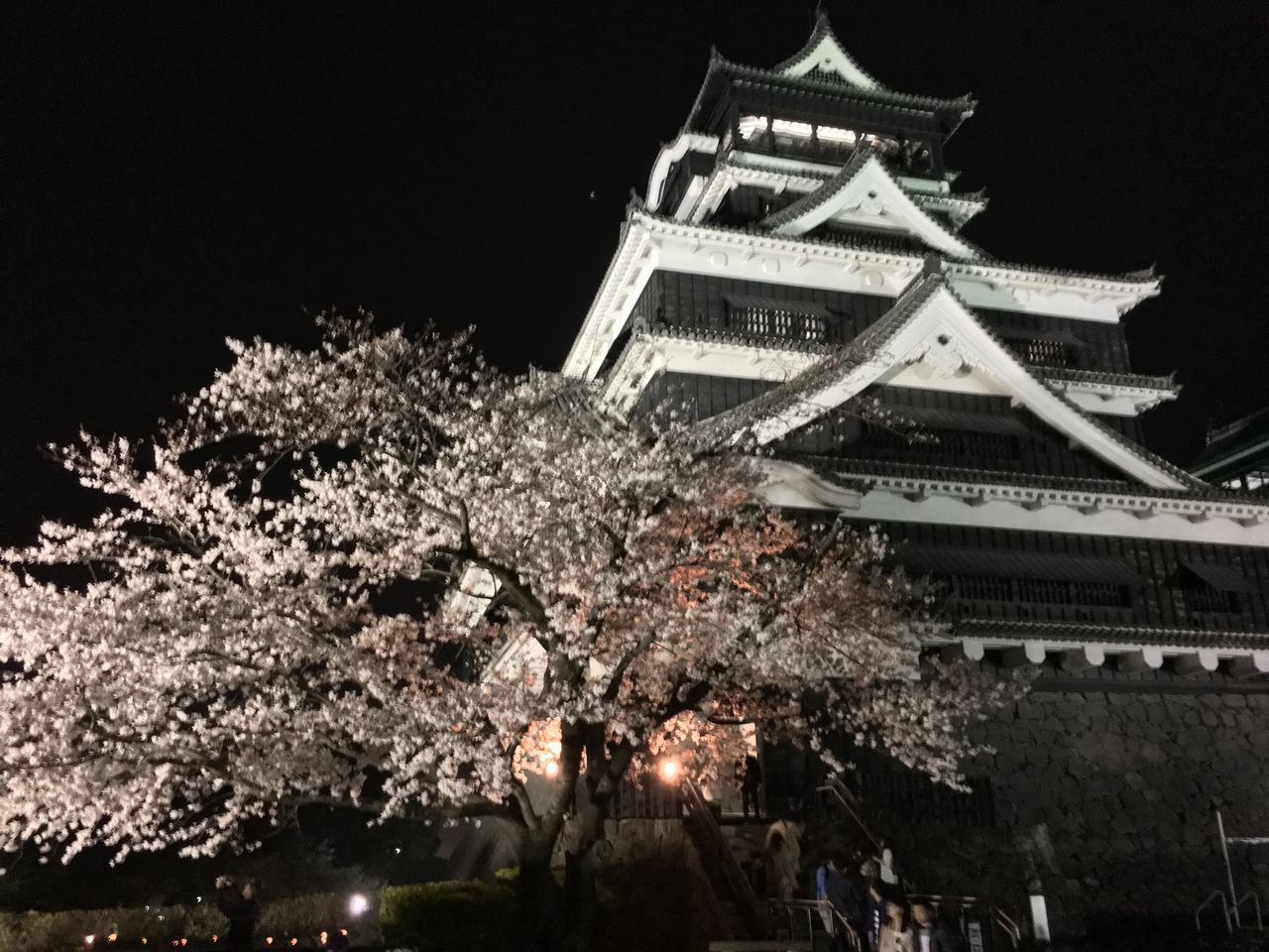 熊本城と夜桜 有限会社 リフォーム匠 鹿児島 熊本城と夜桜 有限会社 リフォーム匠 鹿児島