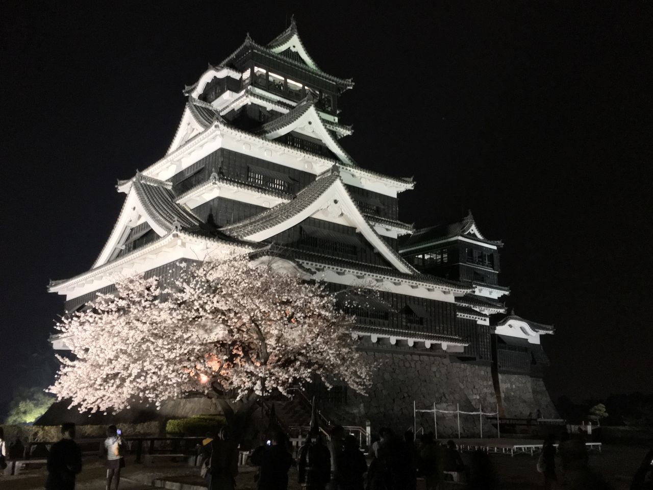 熊本城と夜桜 有限会社 リフォーム匠 鹿児島 熊本城と夜桜 有限会社 リフォーム匠 鹿児島