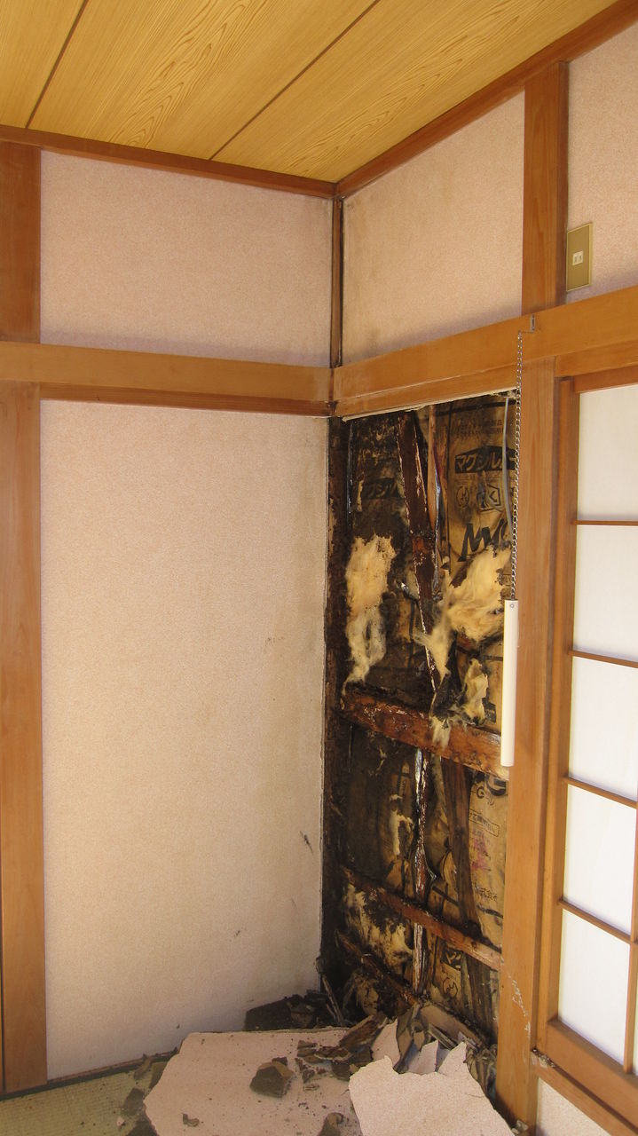 雨漏りによる被害修理 和室改修工事 リフォームあるゾウ情報館 現場レポート