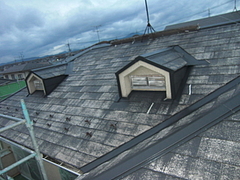 2010_1116_160849-CIMG0044