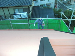 2010_1104_143102-CIMG0012