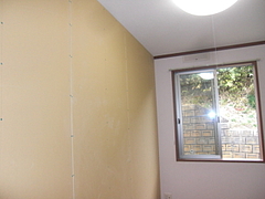 2010_1126_121105-CIMG0034