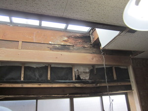 IMG_6391