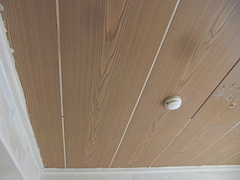 2010_0201_104445-CIMG0006