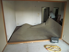 2010_0222_112701-CIMG0027