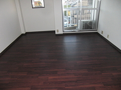 2010_1120_155307-CIMG0008