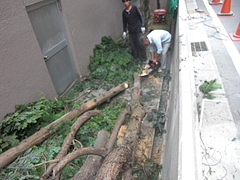 2009_0928_105708-CIMG8083