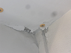 2010_0824_163912-CIMG0001