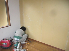 2010_1126_113926-CIMG0029
