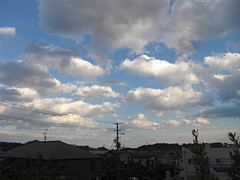 2010_1102_150019-CIMG0037