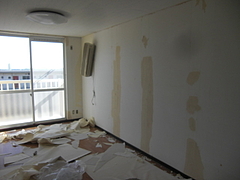2010_1111_101536-CIMG0002