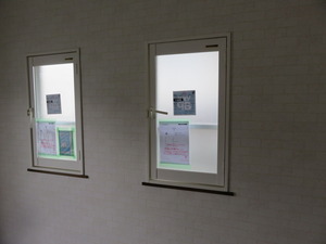 IMG_6914