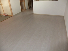2011_1122_150427-DSCF2817