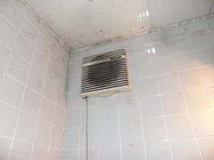 2010_0902_154749-CIMG0006