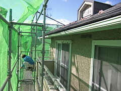 2010_1111_111120-CIMG0063