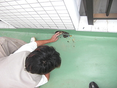 2010_0527_101338-CIMG0007