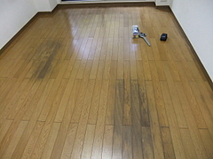 2010_1226_145600-DSCF1810
