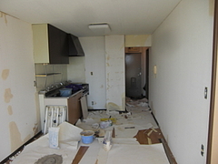 2010_1111_101800-CIMG0013