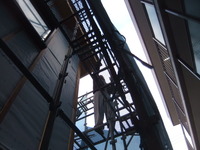 ���ɹ���������