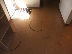 2011_0428_140826-DSCF6589