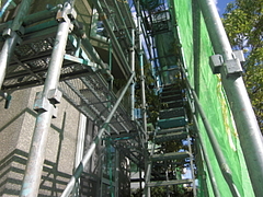 2010_1111_110023-CIMG0050