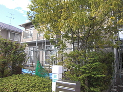 2010_1109_120746-CIMG0222