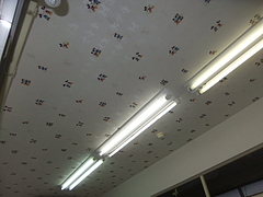 2012_0518_144853-DSCF8186