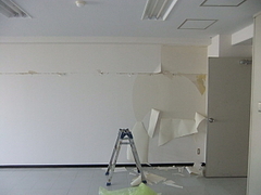 2011_0531_123003-DSCF7715