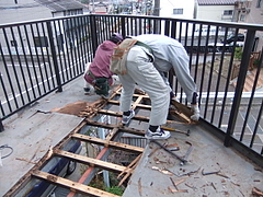 2010_1208_150023-DSCF1102