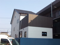 ���۹���������