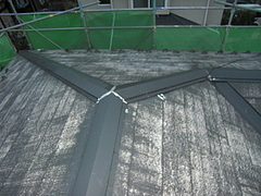 2010_1116_160929-CIMG0048