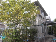 2010_1109_120754-CIMG0223