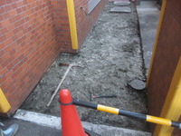 ��ե����ࡡ����