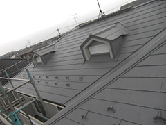 2010_1128_091228-CIMG0004